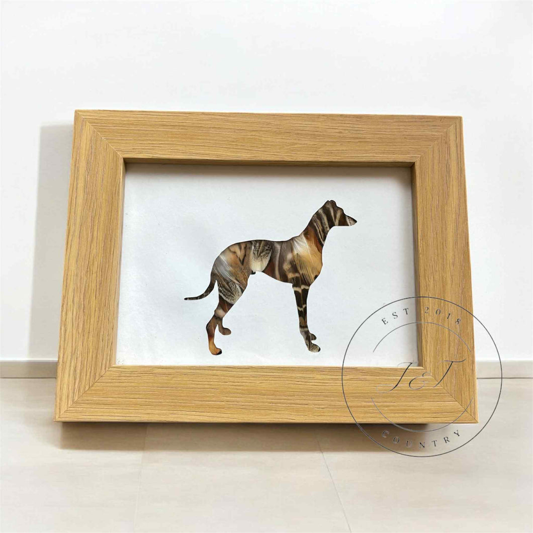 Whippet Feather Silhouette