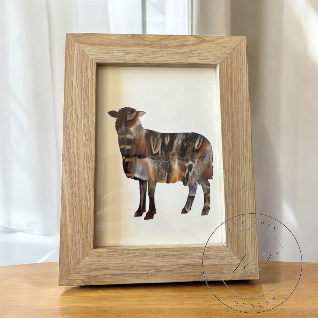 Sheep Mixed Feather Silhouette