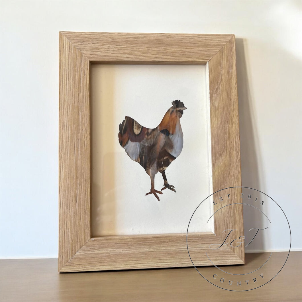 Chicken Mixed Feather Silhouette